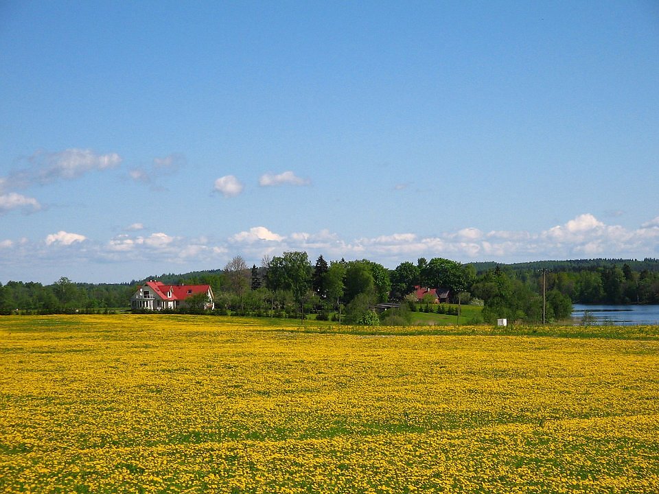 Nõuni järv